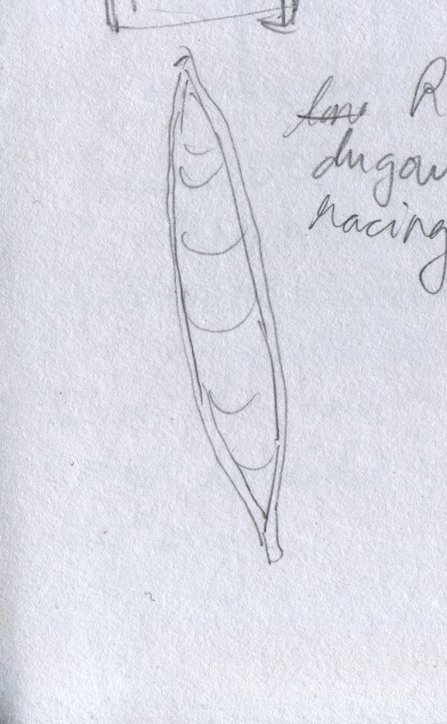 A razor-thin dugout canoe, reminiscent of a racing canoe.